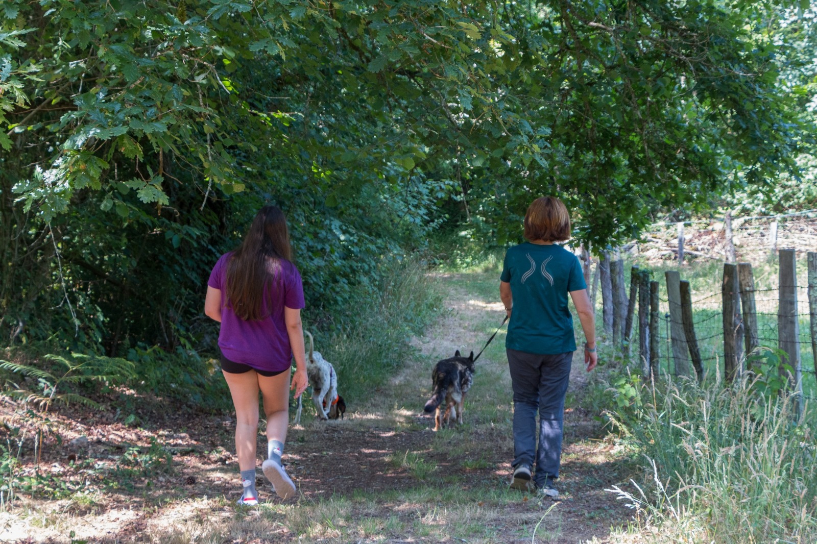 Colabora en protectora de animales en Asturias