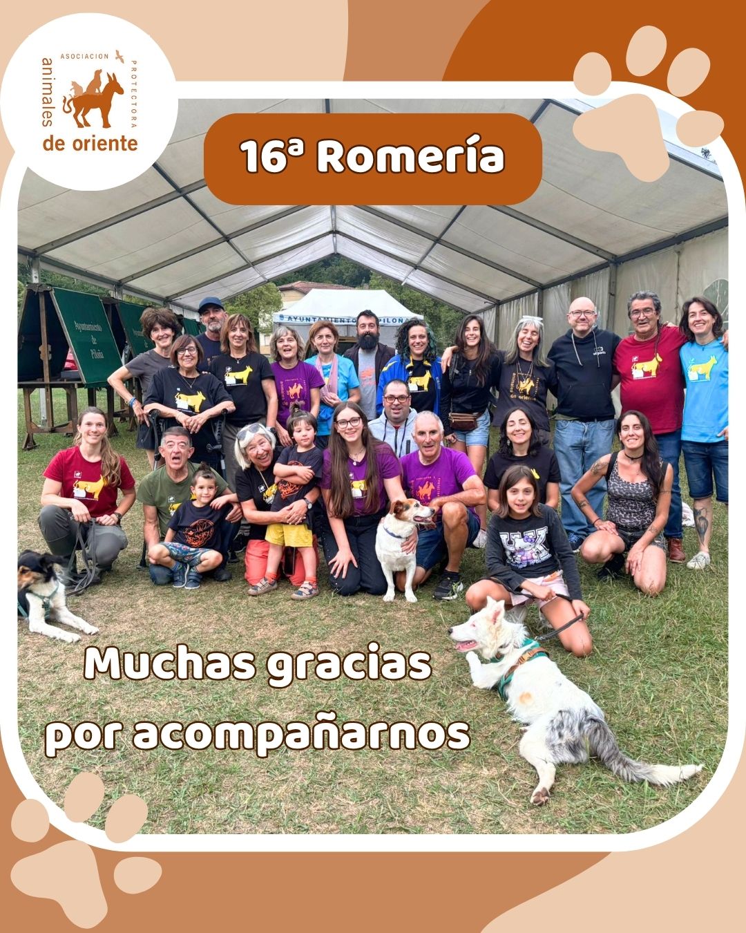 Resumen 16 romería solidaria protectora de animales del oriente de asturias